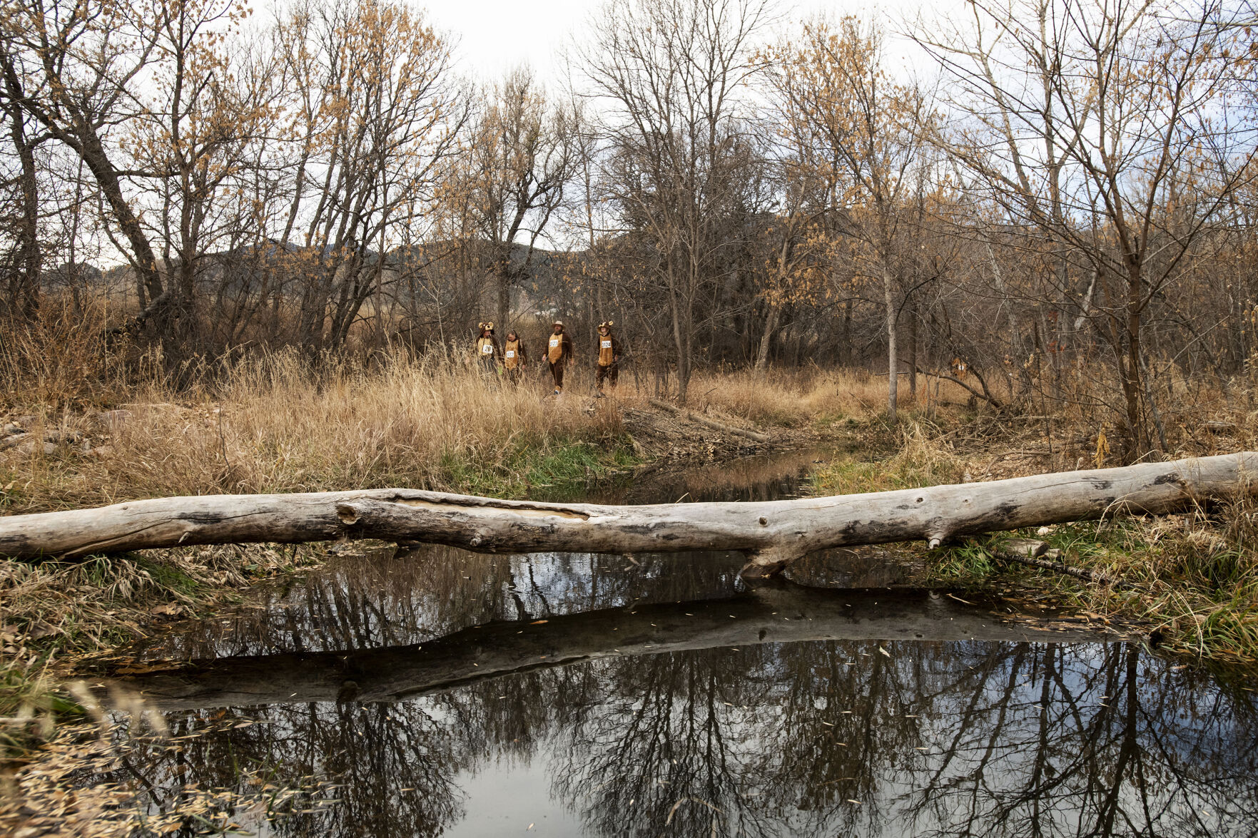 111421-news-bearrun 20.jpg